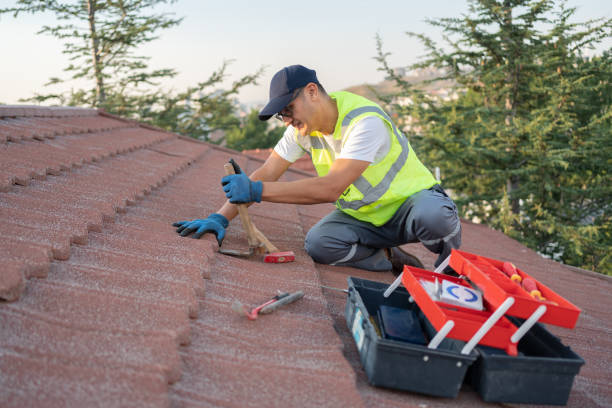 Best Metal Roofing Contractor  in Montour Falls, NY